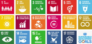 building-blocks-for-peace